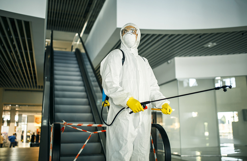 Üsküdar Haşere İlaçlama